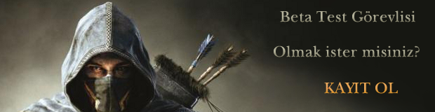 Elder Scrolls Online Beta Tester